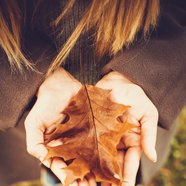 630630 Golden Leaves Funeral Plans 630630 Golden Leaves Funeral Plans